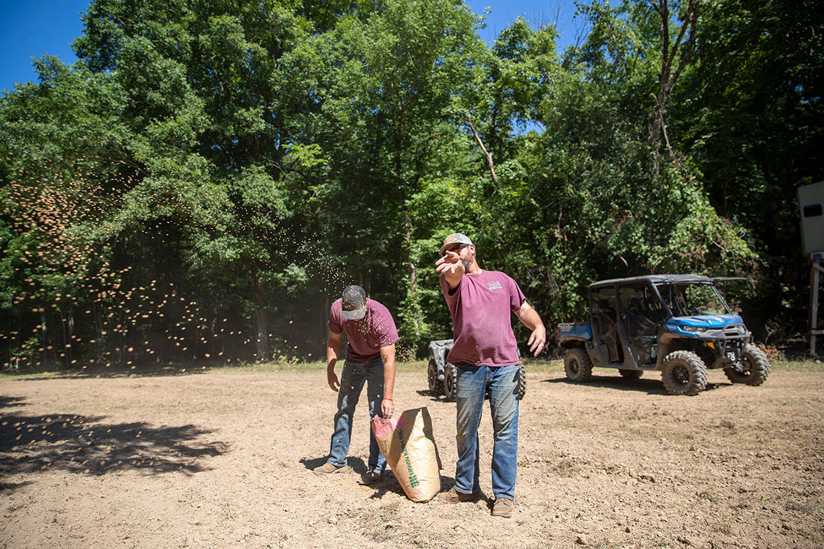 Seeding a freshly plowed food plot